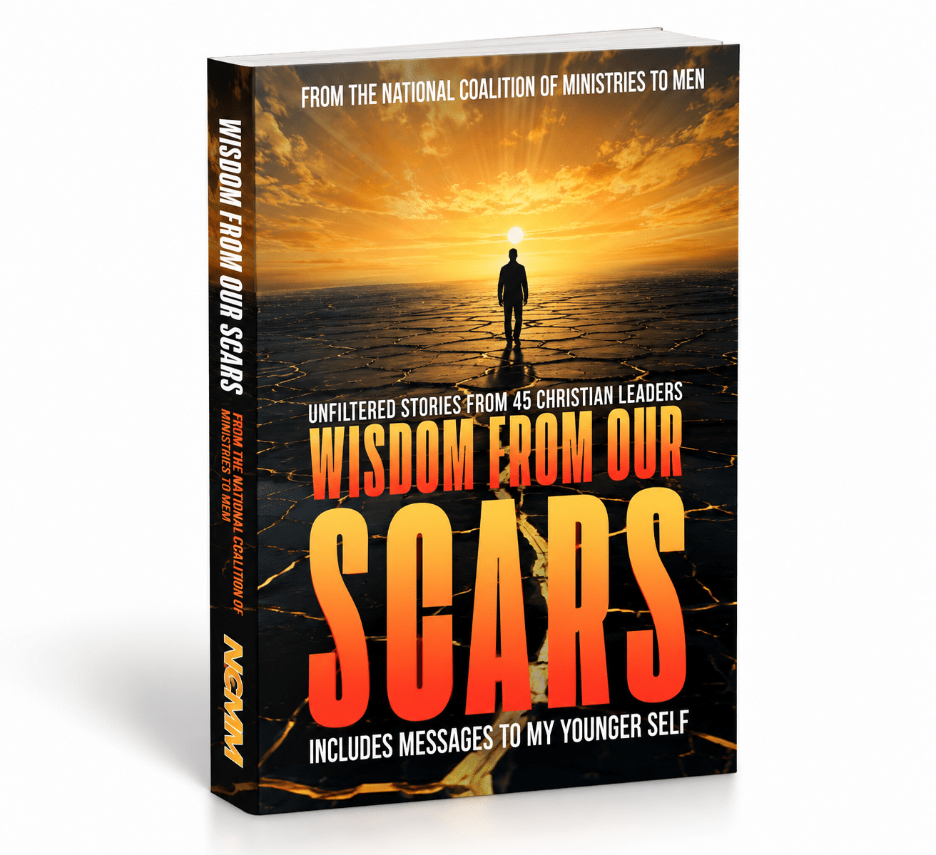 Wisdom From Our Scars